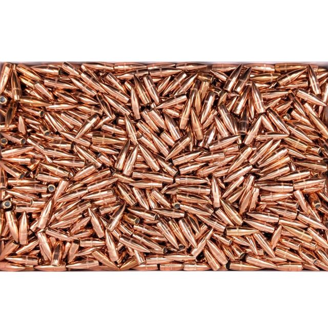 223 55gr FMJ Version 3 Bullets