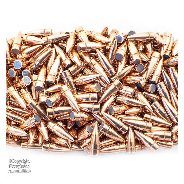 308 30 Cal 125gr FMJ Bullets