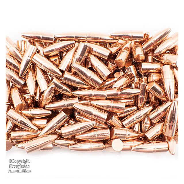 375 Cal 250gr Plated Bullets