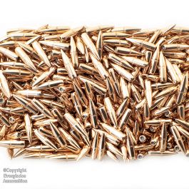 223 62gr FMJ SS109 Bullets